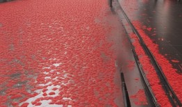 广东多地突降钻石雨！冰雹砸出满地红包，网友，建议出门自带防砸头盔