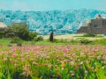 藏地轻震，双湖涟漪，那曲市4.7级地震的‘悠扬’旋律