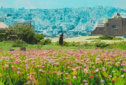 藏地轻震，双湖涟漪，那曲市4.7级地震的‘悠扬’旋律