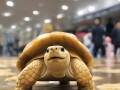 金龟子一家八口青岛虫聚记，萌趣横生，欢乐满溢！