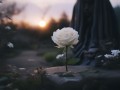千百惠突发疾病去世 两月前还在带货