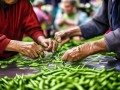 大爷大娘排队贴摘豆角甲片，一场关于美丽与实用的较量