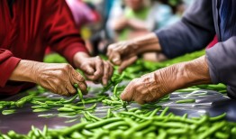 大爷大娘排队贴摘豆角甲片，一场关于美丽与实用的较量