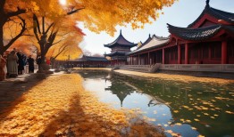 京城秋色正浓时，解锁北京秋花的盛放密码