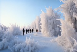 呼伦贝尔的冻感体验，气温跌破0℃多地迎来霜冻奇观