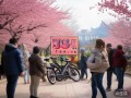 武大樱花季，电动车租赁惊现‘36元1小时’游客直呼‘天价’奇遇记