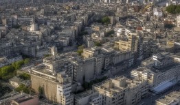 飞来横祸还是透明陷阱？南京大桥玻璃墙成鸟类无妄之灾