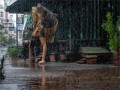 榕江水漫金山，一小时雨情下的城市奇景