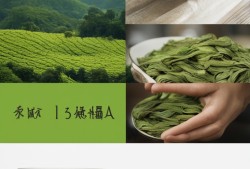 西湖龙井，一叶撩动全球的茶中贵族