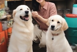 大S妈妈晒幸福，家族合照背后的温馨秘密，网友直呼这波狗粮我服！