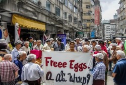 免费领鸡蛋，竟是温柔陷阱？35名老人被骗1.2万