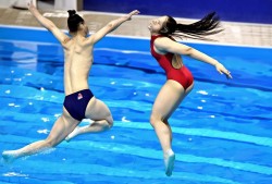 全运会跳水大战，陈芋汐&amp;掌敏洁双姝争艳，全红婵遗憾第5